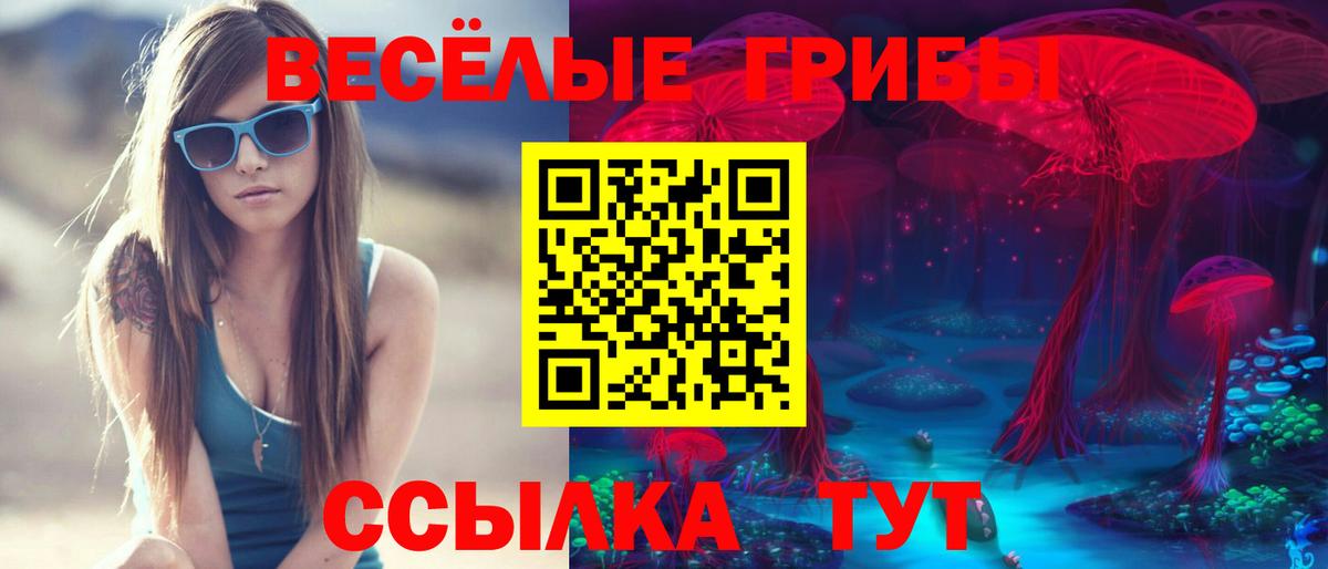 Рассказово  Галлюциногенные грибы Cubensis  купить закладку  Вход с VPN 