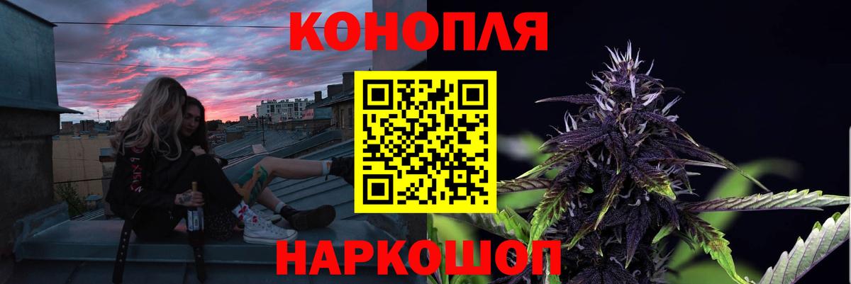 Рассказово  Конопля семена  Марихуана сатива  Бошки марихуана Bruce Banner  Вход с VPN 
